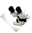 Les Sciences